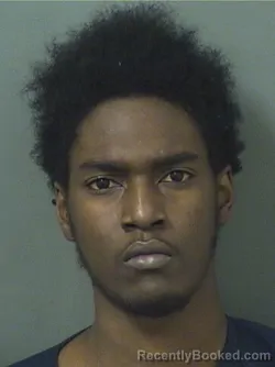 Mugshot of DEEARMANI JENKINS booked in Palm Beach County, Florida on July 1, 2026
