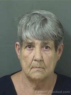 Mugshot of DIANE M AUFFANT booked in Palm Beach County, Florida on July 1, 2026