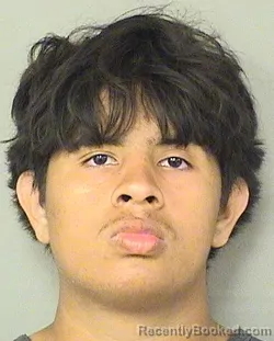 Mugshot of ANTHONY FABRICIO VASQUEZ booked in Palm Beach County, Florida on July 2, 2026