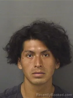 Mugshot of DANY MORALESORTIZ booked in Palm Beach County, Florida on July 2, 2026