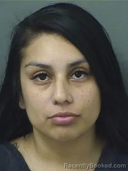 Mugshot of BRIANNA ZHANE LOOR booked in Palm Beach County, Florida on July 3, 2026