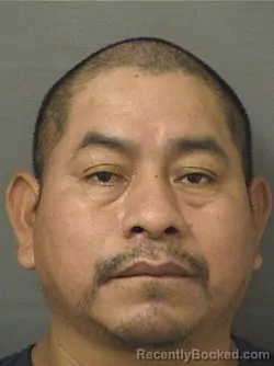 Mugshot of FRANCISCO HERNANDEZ LOPEZ booked in Palm Beach County, Florida on July 3, 2026