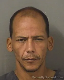 Mugshot of KELVIN RADAMES CARREROSAGARDIA booked in Palm Beach County, Florida on July 3, 2026