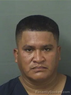 Mugshot of FRANCISCO MICHELERISTON booked in Palm Beach County, Florida on July 4, 2026
