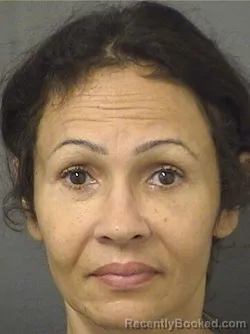 Mugshot of LUCIANA CRISTINA DOSSANTOSDEFARIA booked in Palm Beach County, Florida on July 4, 2026