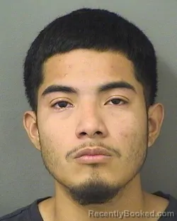Mugshot of ALEXIS VELASQUEZRUEDA booked in Palm Beach County, Florida on July 8, 2026