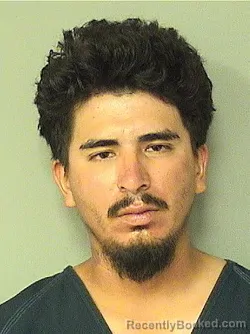 Mugshot of DIEGO ENRIQUE FONSECA booked in Palm Beach County, Florida on July 20, 2026
