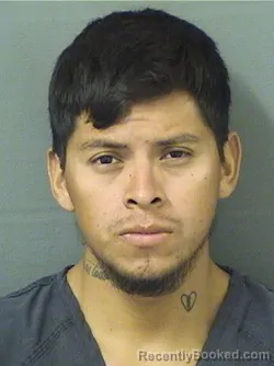 Mugshot of NICHOLAS MIGUEL RAYMUNDOPABLO booked in Palm Beach County, Florida on July 29, 2026