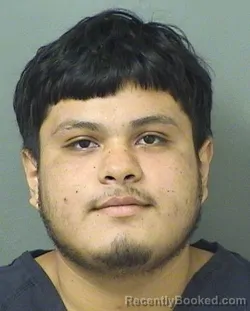 Mugshot of ANTHONY LOPEZLOTZIN booked in Palm Beach County, Florida on July 29, 2026