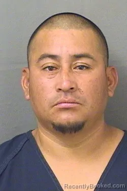 Mugshot of CARLOS MIGU GUILLENDOMINGUEZ booked in Palm Beach County, Florida on July 29, 2026