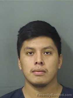 Mugshot of Ines Santizogonzalez booked in Palm Beach County, Florida on August 9, 2026