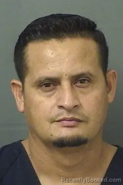 Mugshot of Dennis Mauricio Murillolobo booked in Palm Beach County, Florida on August 9, 2026