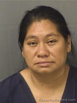 Mugshot of Lilian Vidalia Lopezcarrillodedecar booked in Palm Beach County, Florida on August 10, 2026