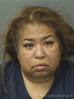 Mugshot of Jesusita Gonzalez booked in Palm Beach County, Florida on August 10, 2026