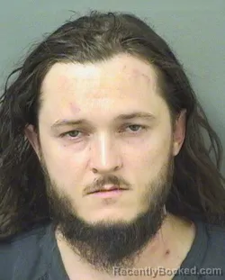 Mugshot of Logan Matthew Williams booked in Palm Beach County, Florida on August 15, 2026