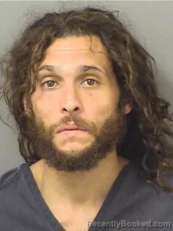 Mugshot of Luis Peter Garcia booked in Palm Beach County, Florida on August 15, 2026