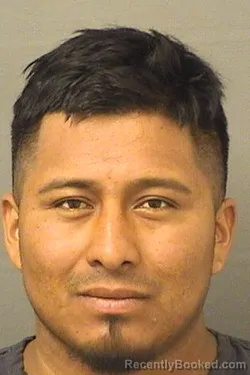 Mugshot of Elfido Emiliano Hernandezmarroquin booked in Palm Beach County, Florida on August 15, 2026