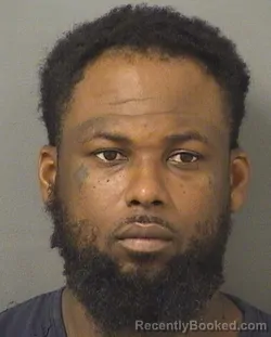 Mugshot of Tervis Demetruis Collins booked in Palm Beach County, Florida on August 16, 2026