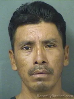 Mugshot of Elias Franciscopascual booked in Palm Beach County, Florida on August 16, 2026