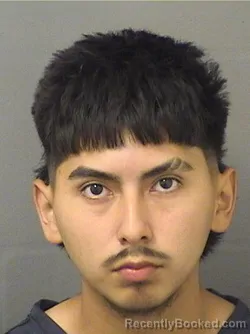 Mugshot of Junior Fabian Mayocastillo booked in Palm Beach County, Florida on August 17, 2026