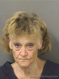 Mugshot of Karen Elizabeth Clark booked in Palm Beach County, Florida on August 17, 2026