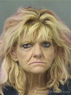 Mugshot of Christine Kay Bowe booked in Palm Beach County, Florida on August 17, 2026