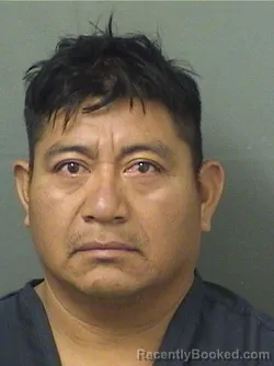 Mugshot of Lorenzo Juan Francisco booked in Palm Beach County, Florida on August 17, 2026