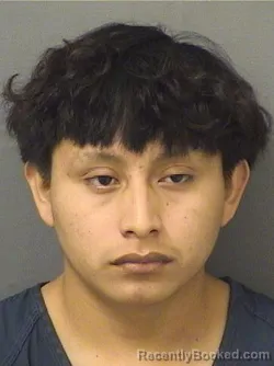 Mugshot of Pedro Andresmateo booked in Palm Beach County, Florida on August 18, 2026