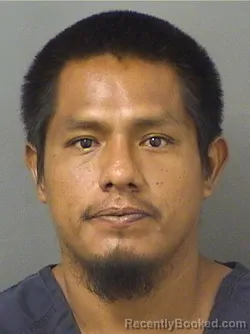 Mugshot of Juan Junior Francisco booked in Palm Beach County, Florida on August 18, 2026