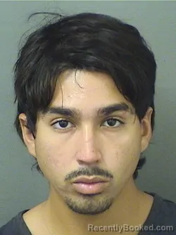 Mugshot of Matthew Arango booked in Palm Beach County, Florida on August 18, 2026