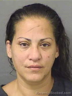 Mugshot of Tania Marie Hajjar booked in Palm Beach County, Florida on August 19, 2026