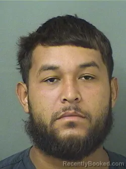 Mugshot of Yolian Enrique Castro booked in Palm Beach County, Florida on August 19, 2026