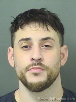 Mugshot of Amiel Baruch Settel booked in Palm Beach County, Florida on August 19, 2026