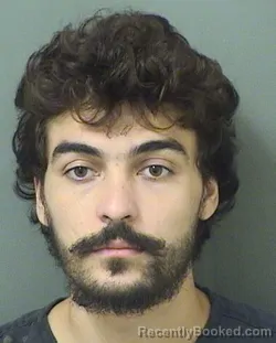 Mugshot of Peter Matthew Lucic booked in Palm Beach County, Florida on August 19, 2026