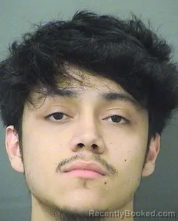 Mugshot of Andres Mauricio Molinaleon booked in Palm Beach County, Florida on August 19, 2026