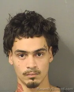 Mugshot of Carlos Francisco Hernandezcastellanos booked in Palm Beach County, Florida on August 19, 2026