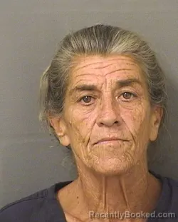 Mugshot of Dawn Marie Duva booked in Palm Beach County, Florida on August 19, 2026