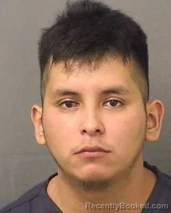 Mugshot of Geldin Romeo Gasparrodriguez booked in Palm Beach County, Florida on August 19, 2026