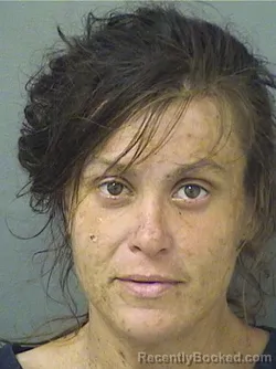 Mugshot of Lauren Ann Healy booked in Palm Beach County, Florida on August 21, 2026