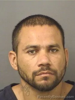 Mugshot of Wilmer Armando Valdezirias booked in Palm Beach County, Florida on August 21, 2026