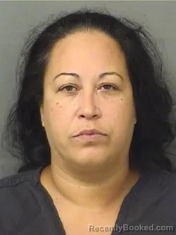 Mugshot of Marieanne Ocasio booked in Palm Beach County, Florida on August 22, 2026