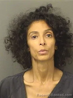 Mugshot of Yafit Damari booked in Palm Beach County, Florida on August 22, 2026