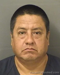Mugshot of Antonio Evangelistaanastasio booked in Palm Beach County, Florida on August 22, 2026
