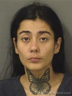 Mugshot of Iliana Caballero booked in Palm Beach County, Florida on August 22, 2026