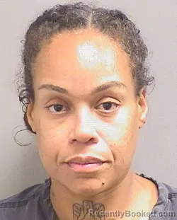 Mugshot of Stephanie Balanta booked in Palm Beach County, Florida on August 22, 2026