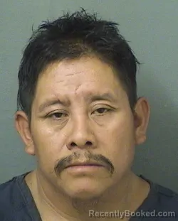 Mugshot of Jose Andres Miguel booked in Palm Beach County, Florida on August 23, 2026