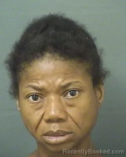 Mugshot of Natasha Tishell Johnson booked in Palm Beach County, Florida on August 23, 2026