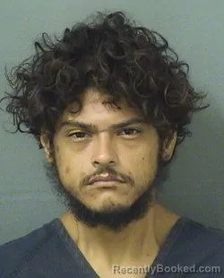 Mugshot of David Corado booked in Palm Beach County, Florida on August 23, 2026