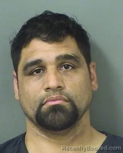 Mugshot of Alexander Guzman booked in Palm Beach County, Florida on August 23, 2026