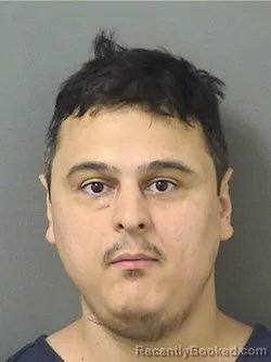 Mugshot of Franco Stefan Dewall booked in Palm Beach County, Florida on August 24, 2026